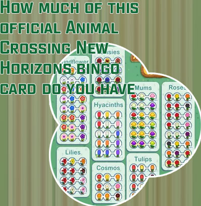 Animal crossing bingo